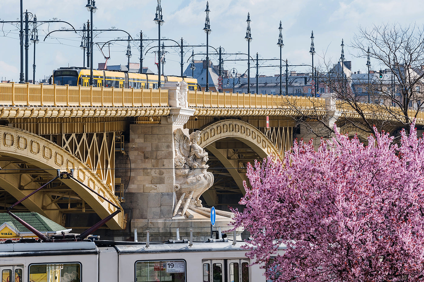 Margaret Bridge in spring #2172