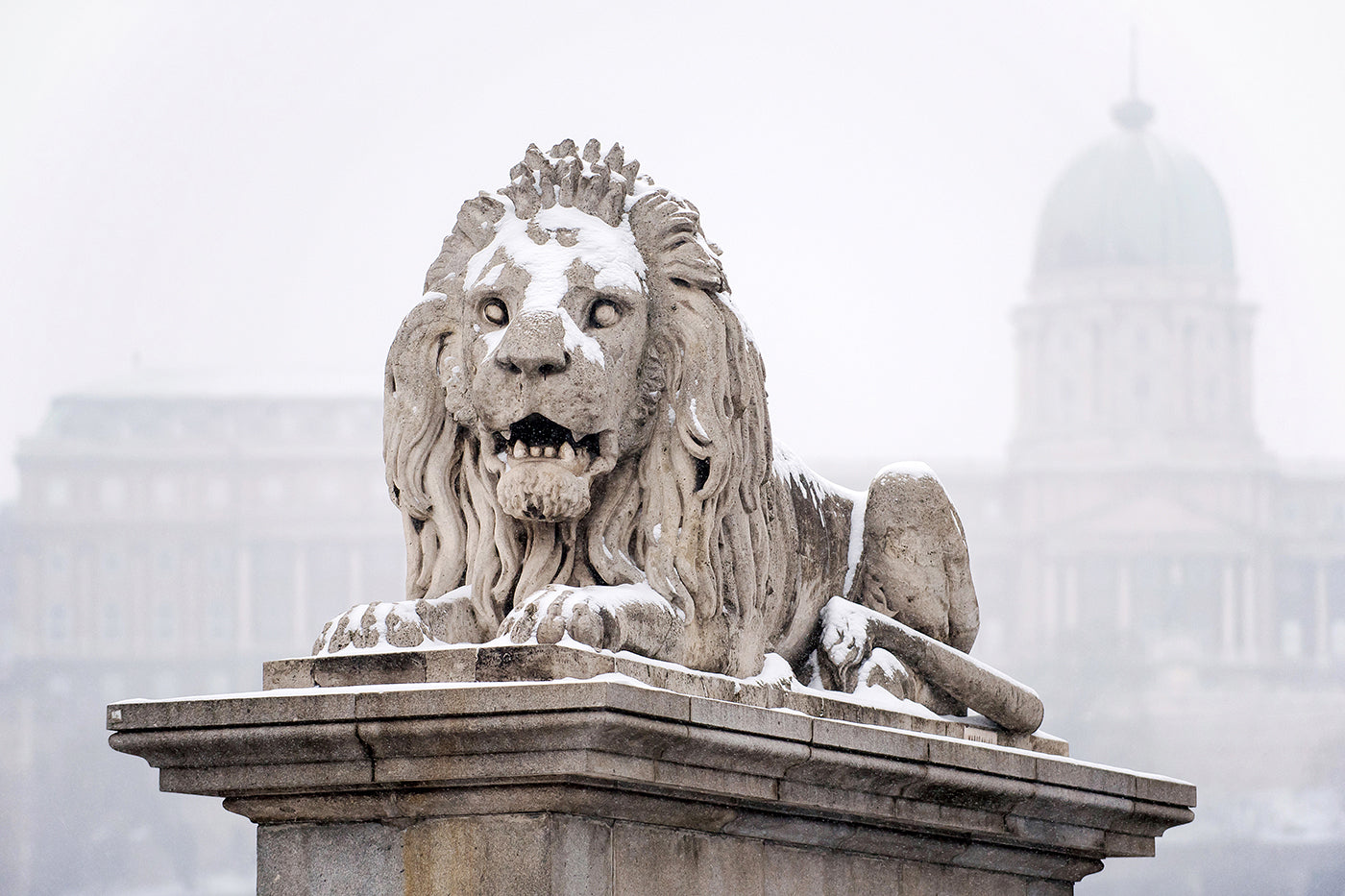 Snow-covered lion with Buda Castle in the background #2190