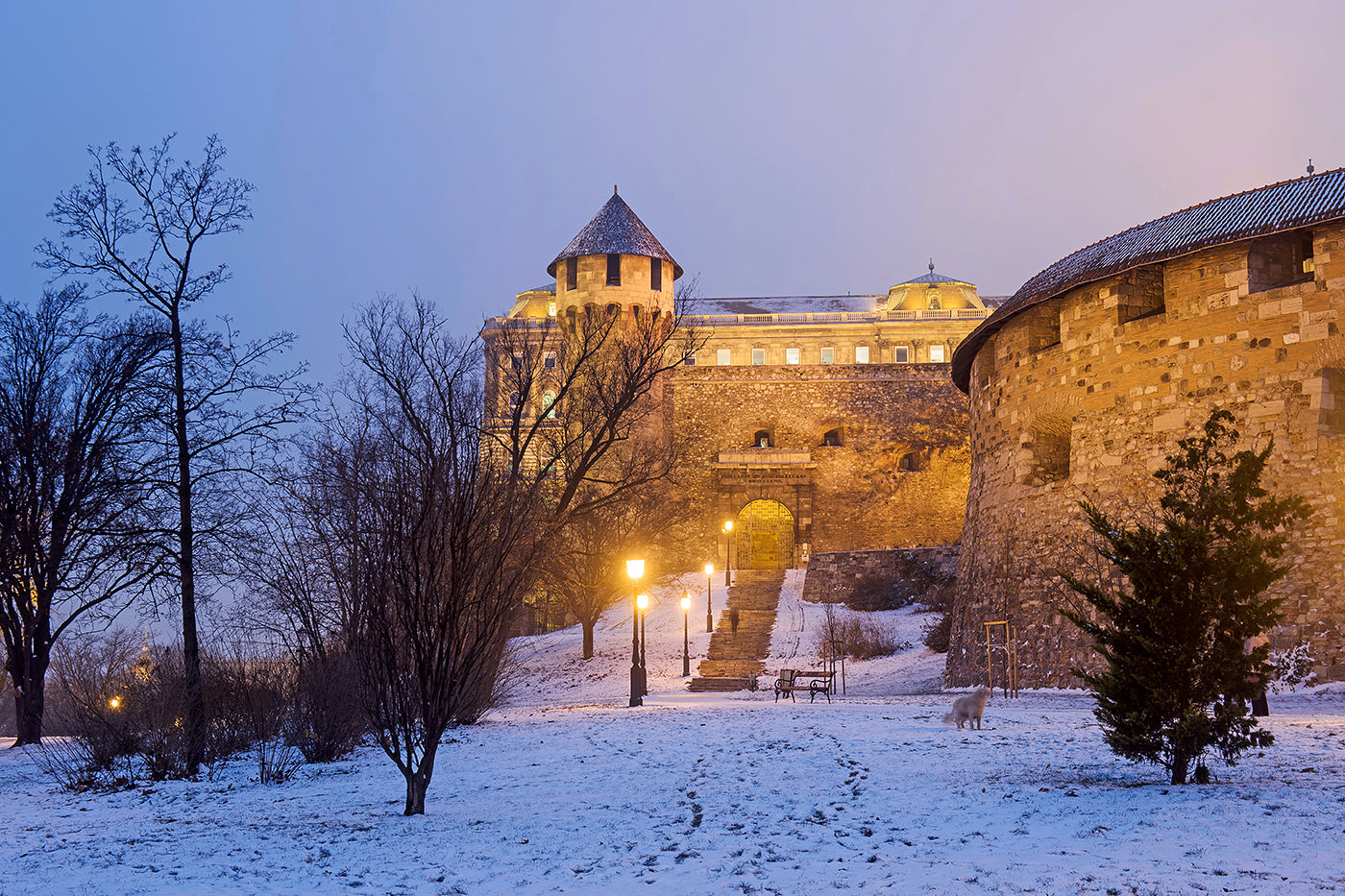 Snowy Buda Castle #2196