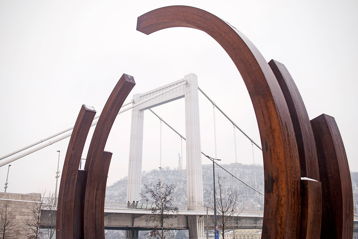 March 15th Square with the Elizabeth Bridge in winter #2200