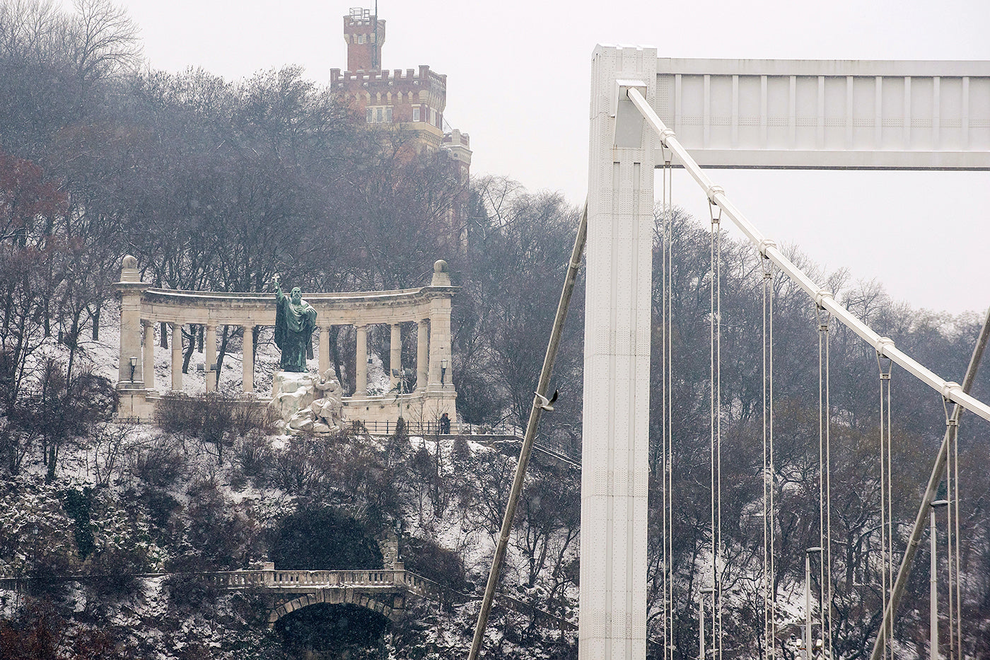 Elizabeth Bridge and Gellért Hill in winter #2203