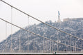 Snow-covered Gellért Hill with the Elizabeth Bridge #2222