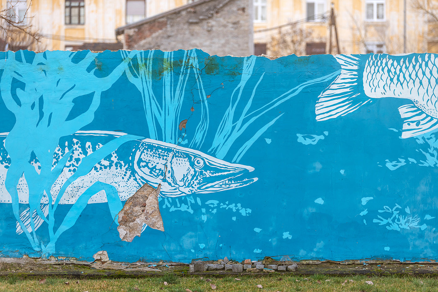 Street art at Újpest-Városkapu #2351