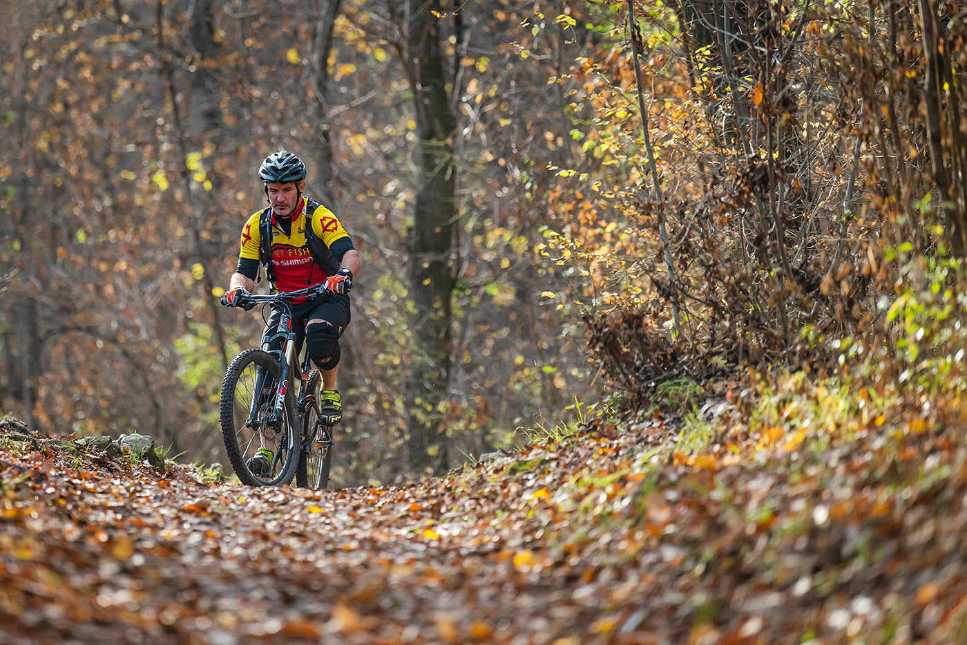Cyclist on Normafa #2486