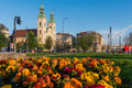 Március 15. tér tavasszal #2539