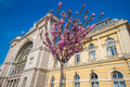Eastern Railway Station in spring #2551