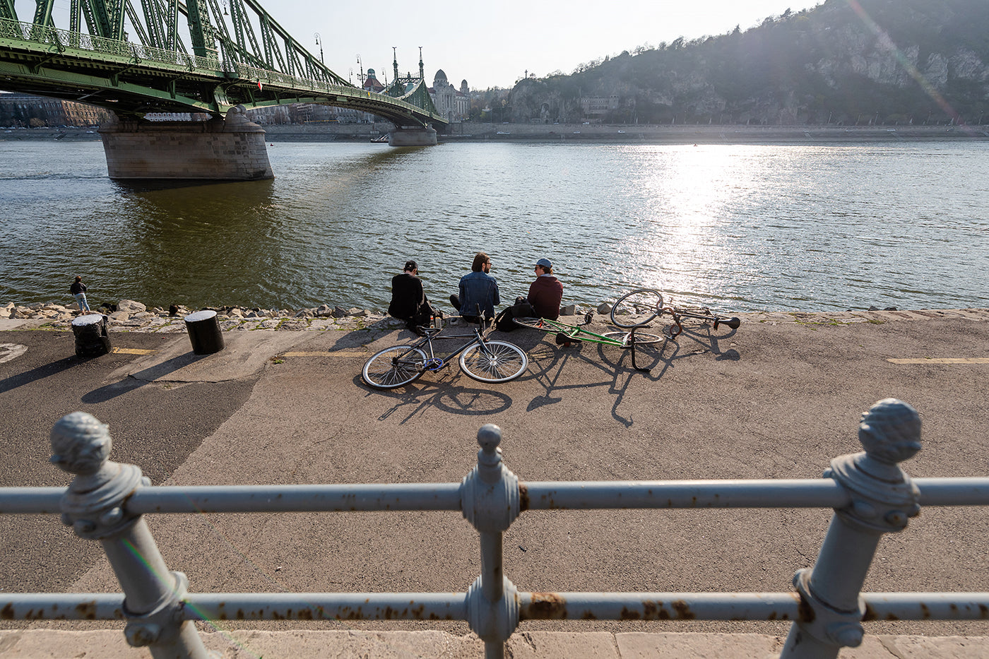 Young people on the Danube Bank #2799