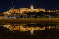 Buda Castle reflected in a puddle #2882