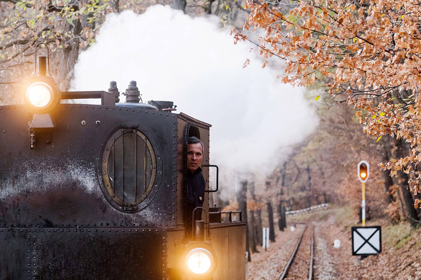 Children's railway with steam locomotive #2909