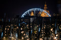 Basilica from the top of St. Andrea Winebar at Christmas #3052
