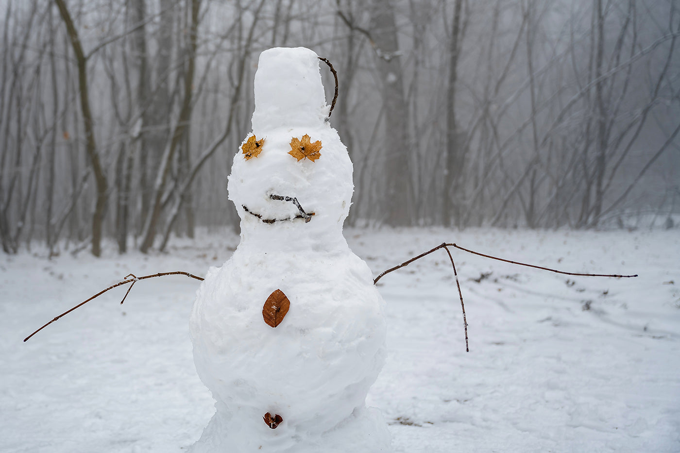 Snowman on Normafa #3063