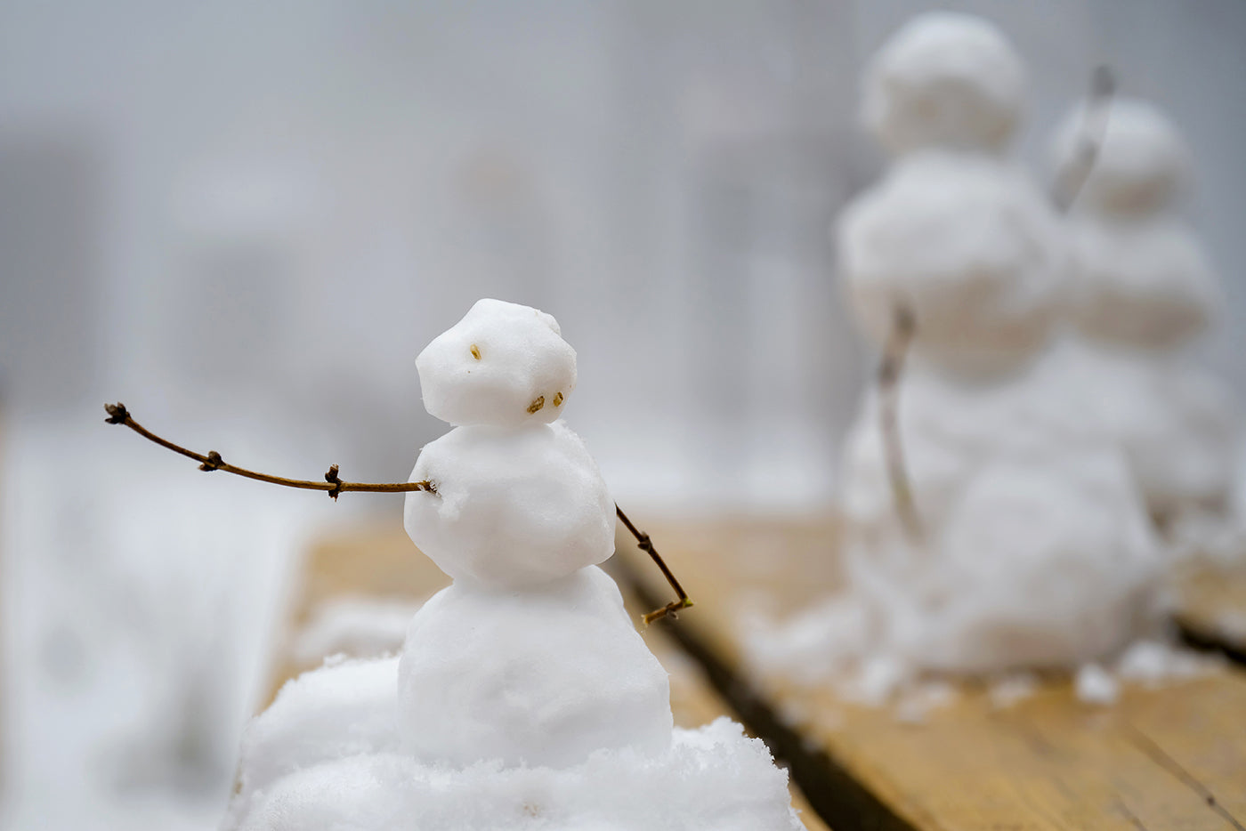 Snowman on Normafa #3067