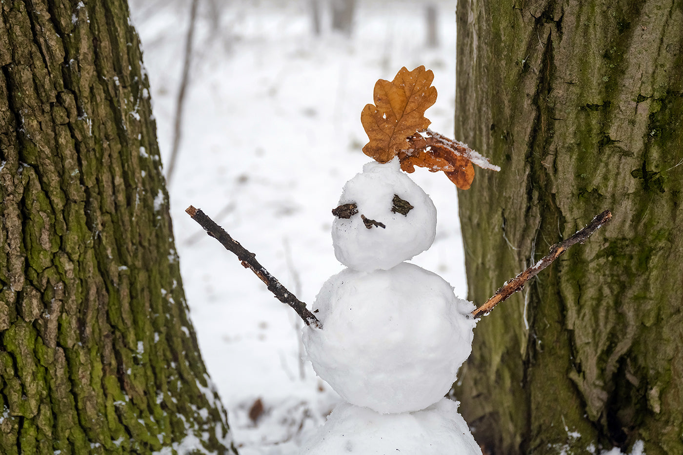 Snowman on Normafa #3069