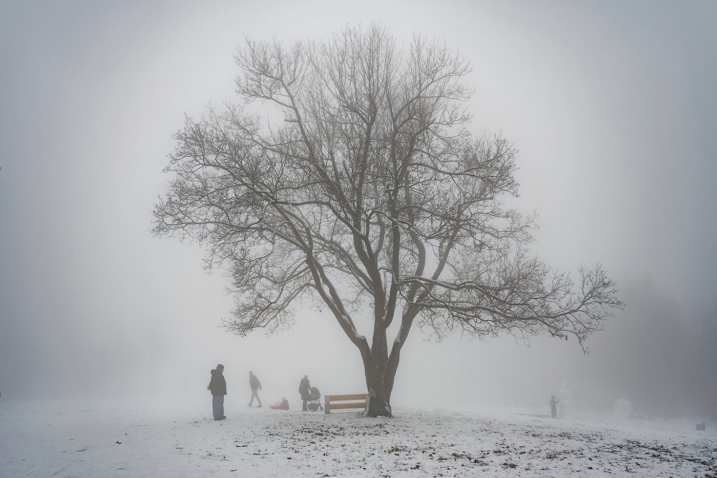 Kirándulók a havas Normafán #3074
