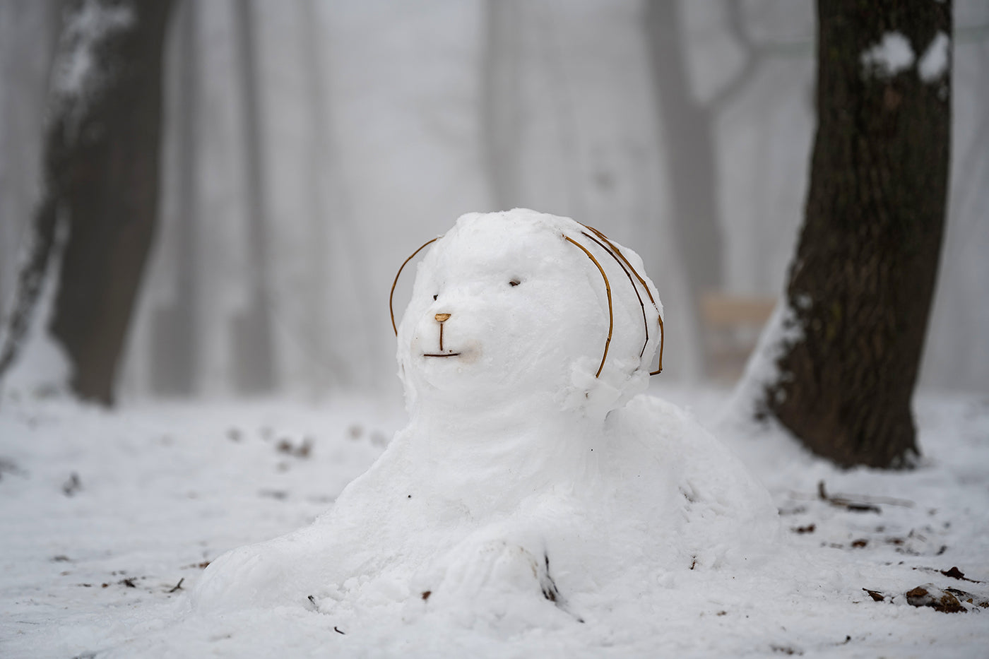 Snowman on Normafa #3078