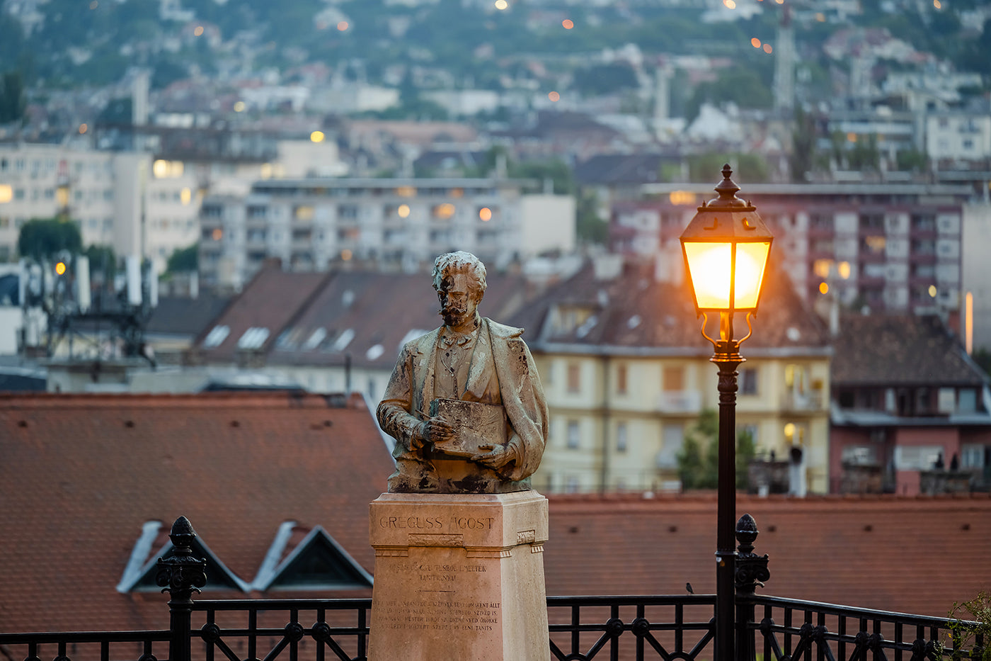 Greguss Ágost szobra a Budai Várban #3171