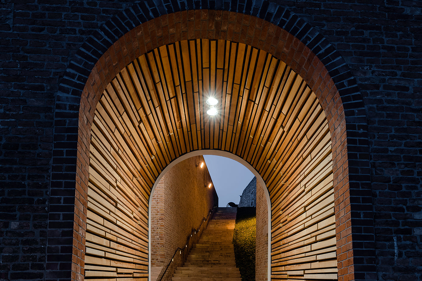 Tunnel in Buda Castle #3173