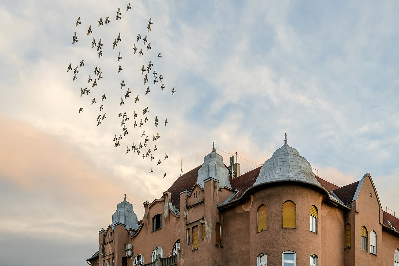 Flock of birds from Újpest on Árpád Road #3200