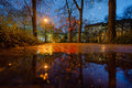 Christmas lights on Hunyadi Square #3202