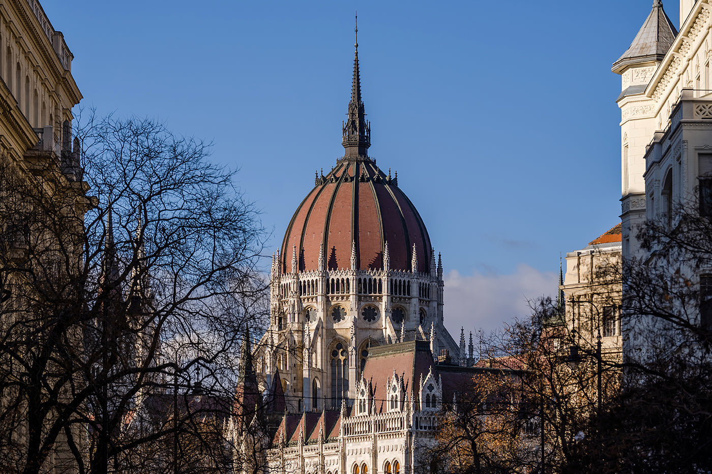 Parliament from Szabadság Square #3266