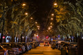 Christmas lights on Bratislava Road #3297