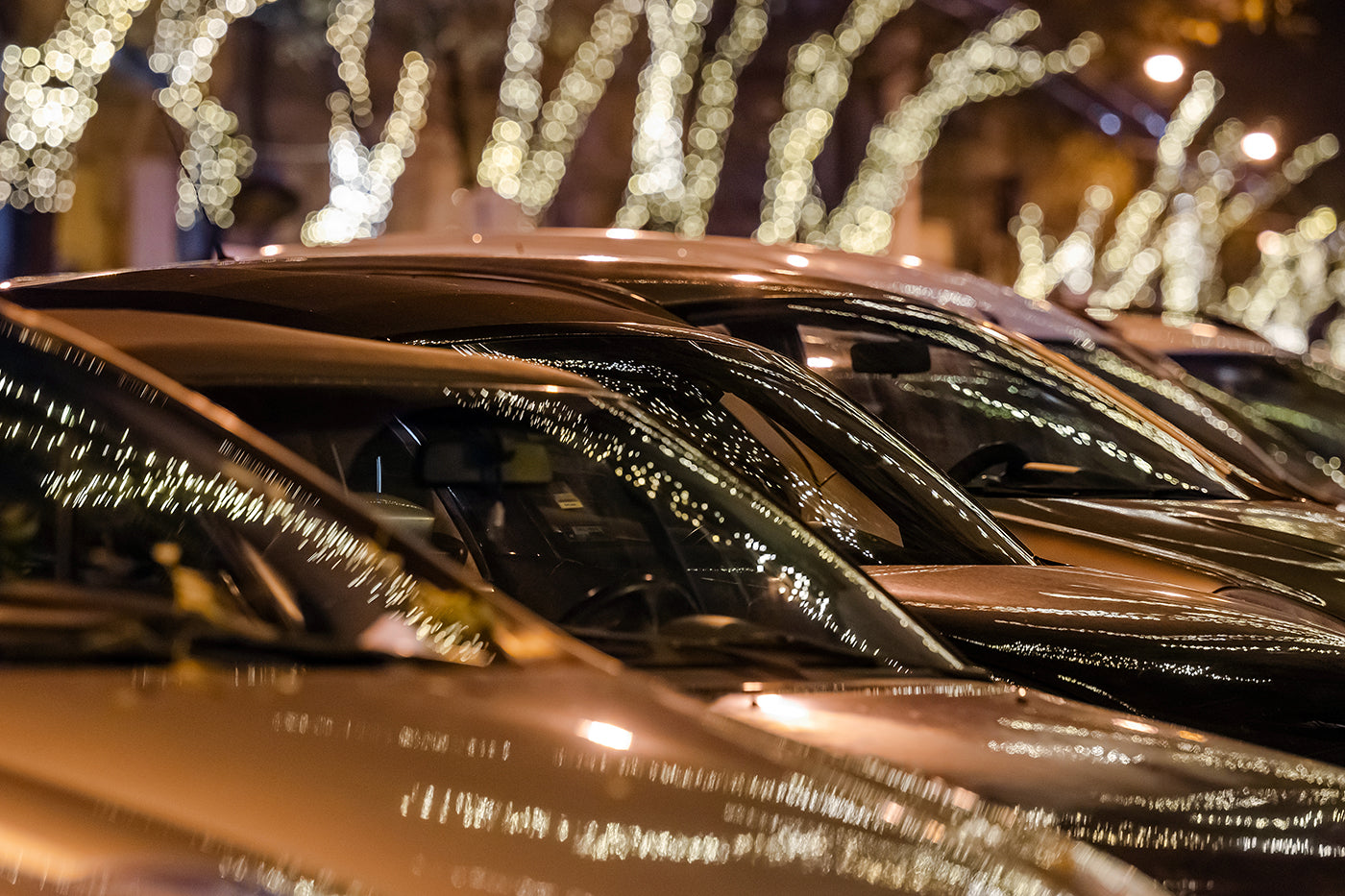 Christmas lights on Bratislava Road #3304