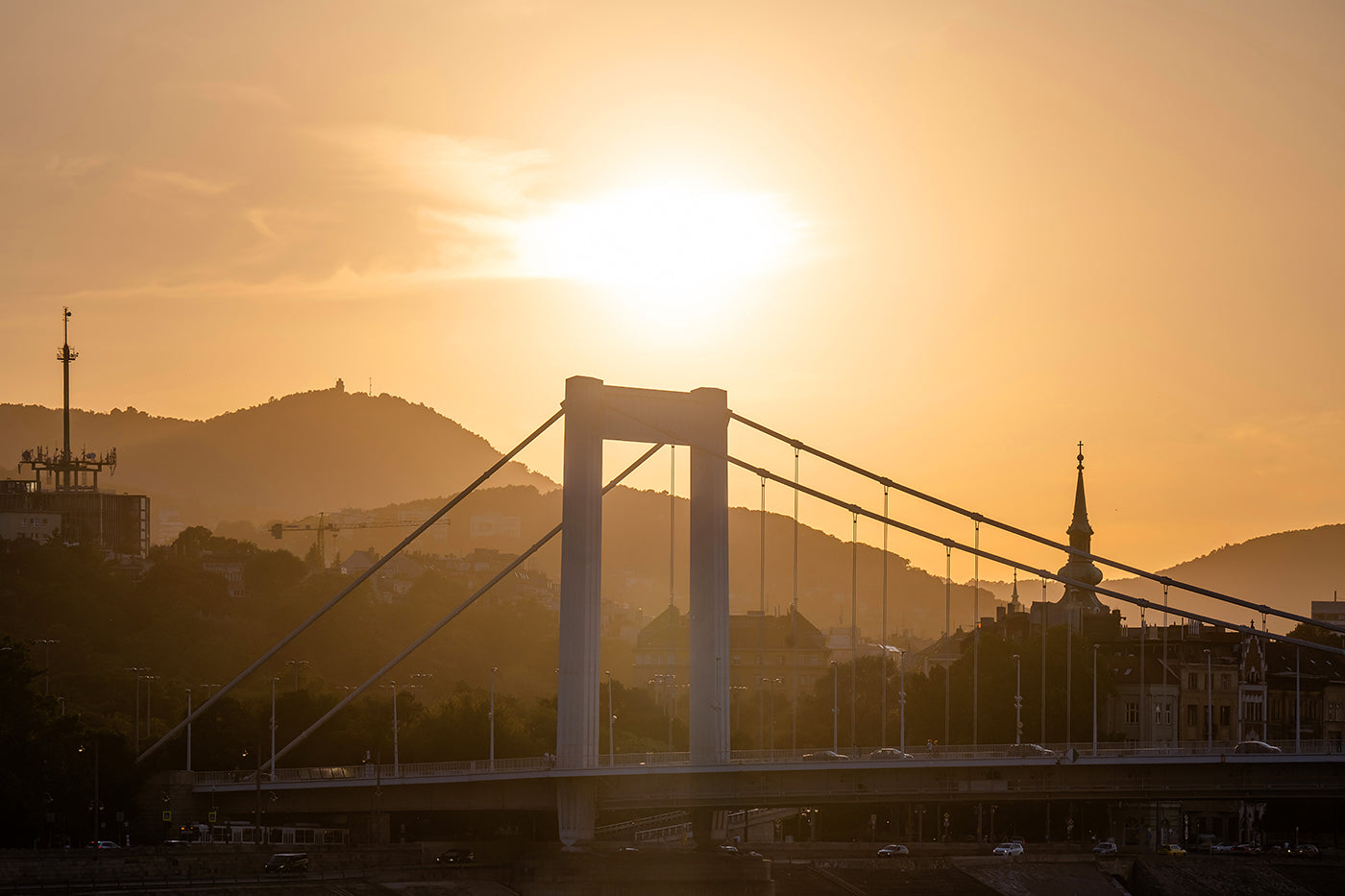 Elizabeth Bridge at sunset #3309