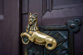 Doorknob of Toldy Ferenc High School #3312