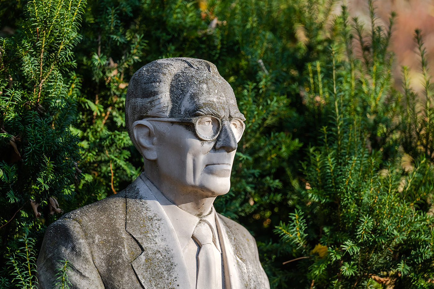 Statue of Imre Ormos in the Buda Arboretum #3320