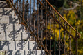 Afternoon shadows in the Buda Arboretum #3323