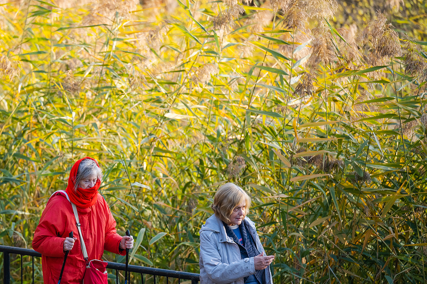 Túrázók a Feneketlen-tónál #3346