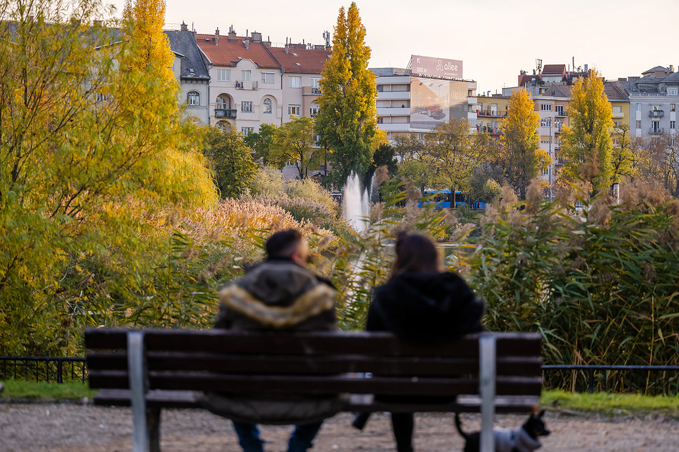 Autumn mood at Lake Feneketlen #3348