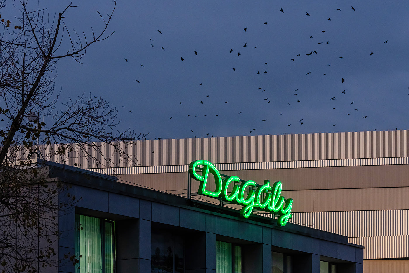 Dagály Fürdő neonreklámja #3544