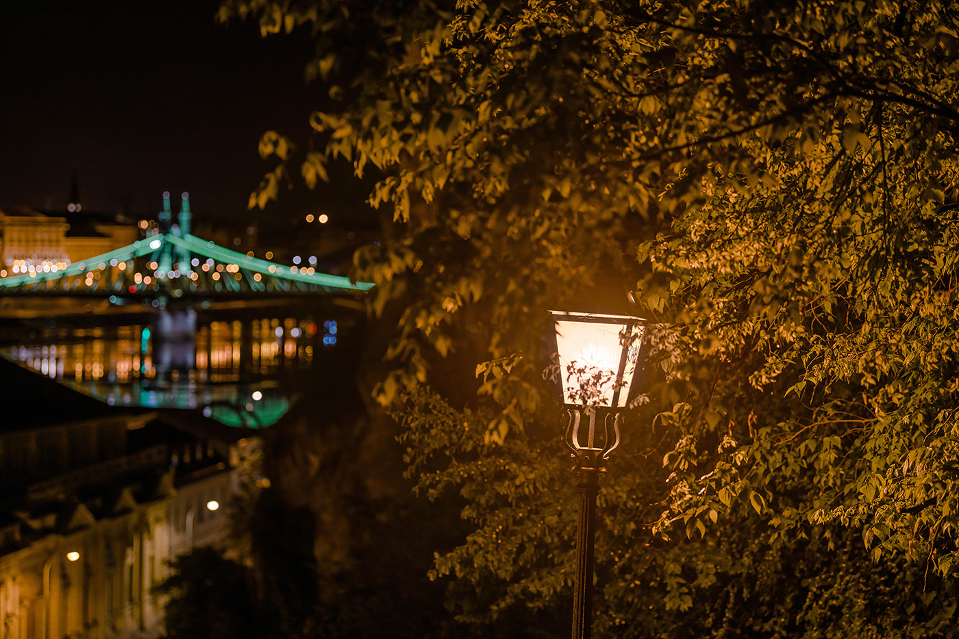 The lights of Gellért Hill with the Liberty Bridge #3615