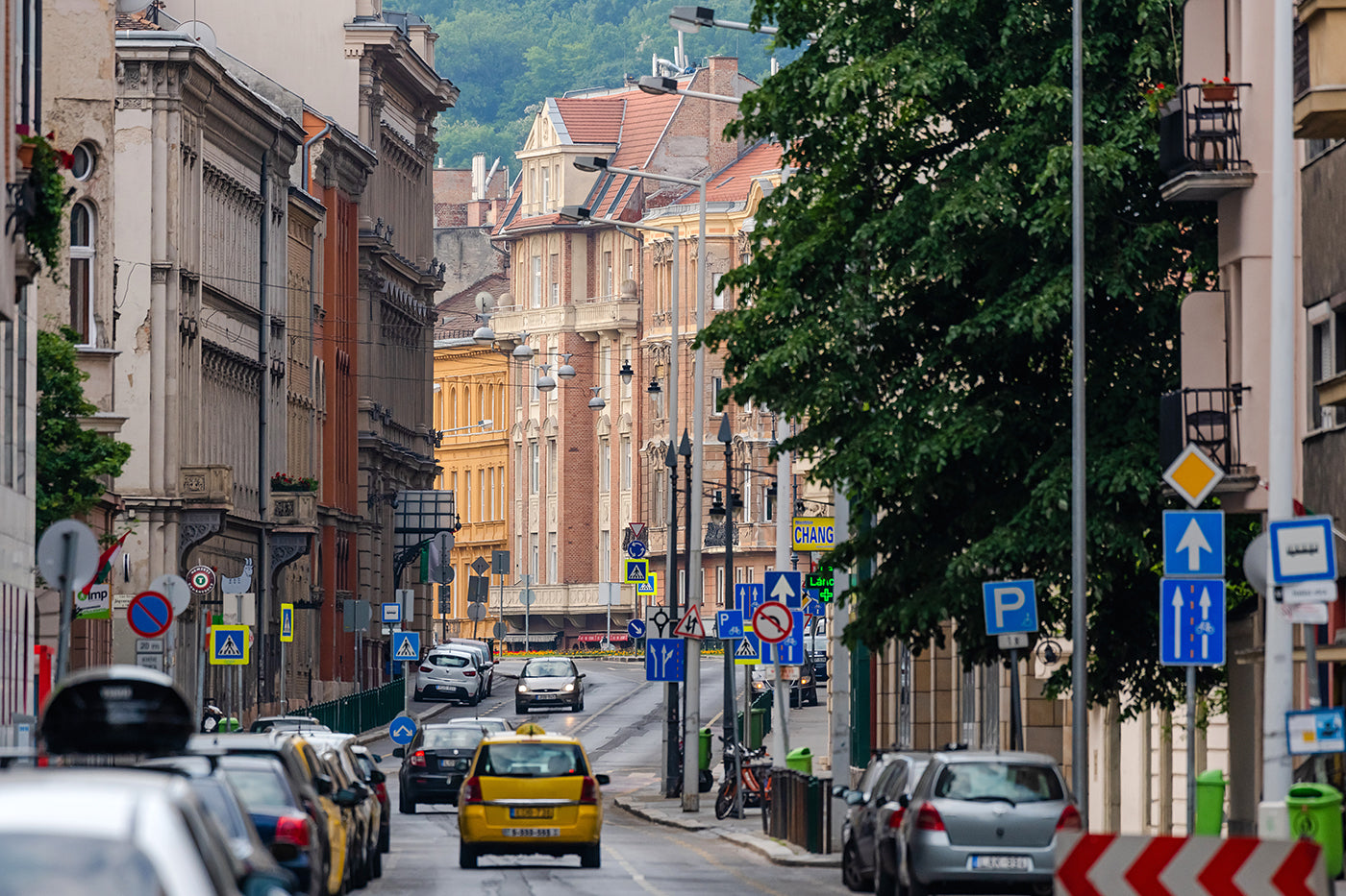 Main Street #3663