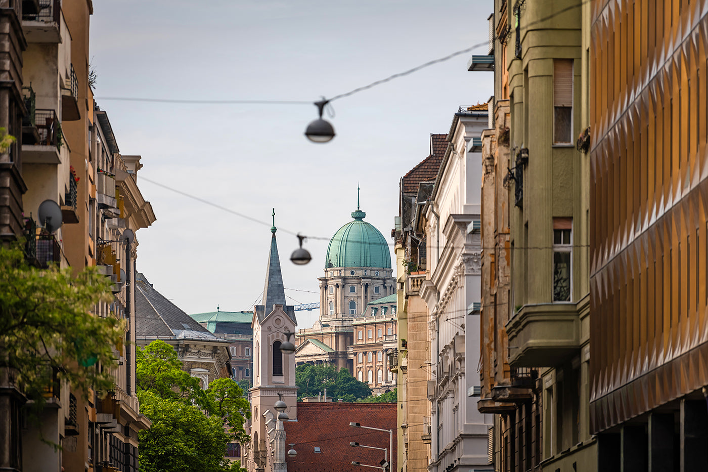 Buda Castle from Main Street #3668