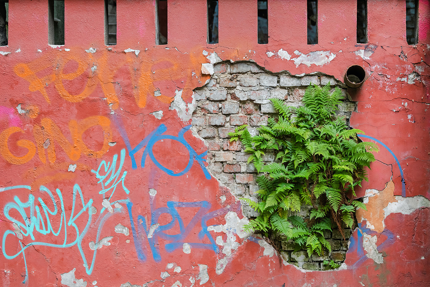 Budapest – Nature Finds a Way | Fine Art Giclée Photo Print and Wall Art