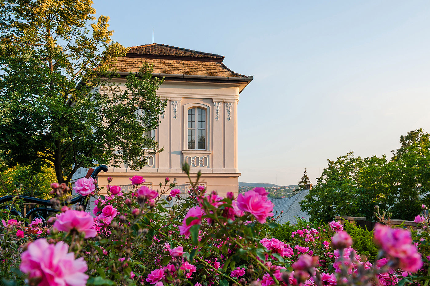 Spring bloom near Vienna Gate Square #3747