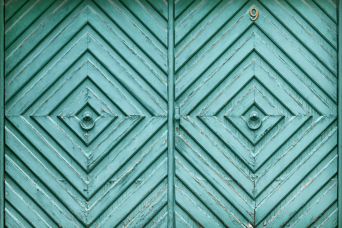Gate 9 of Ostrom Street #4067