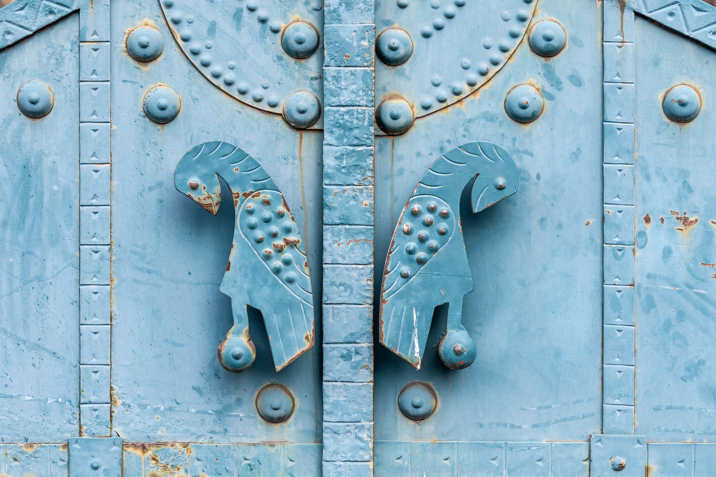 Gate of the Institute for the Blind #4099
