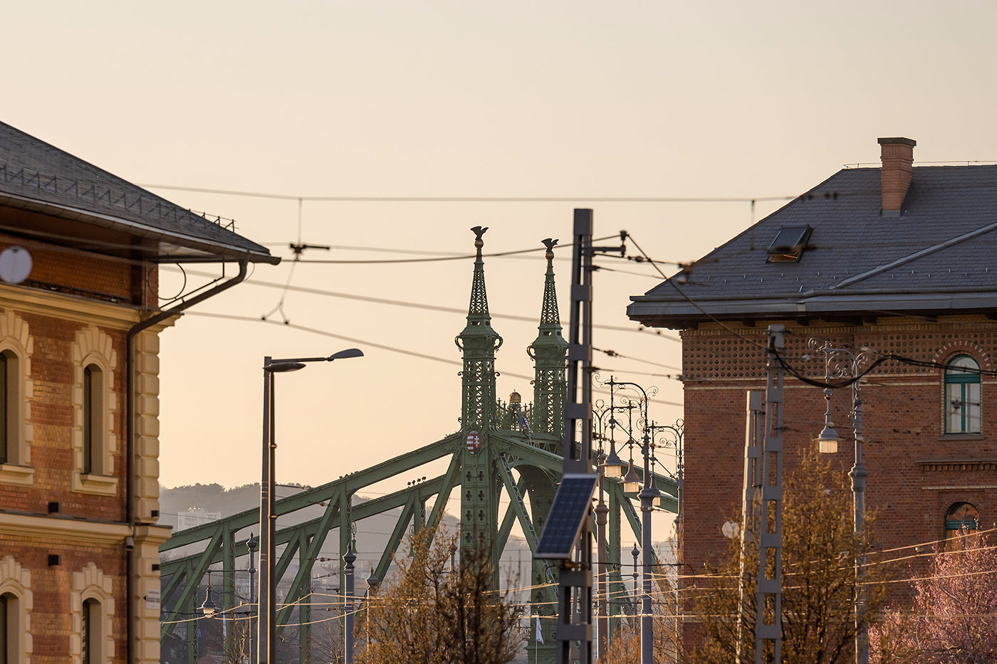 Liberty Bridge from a distance #4221