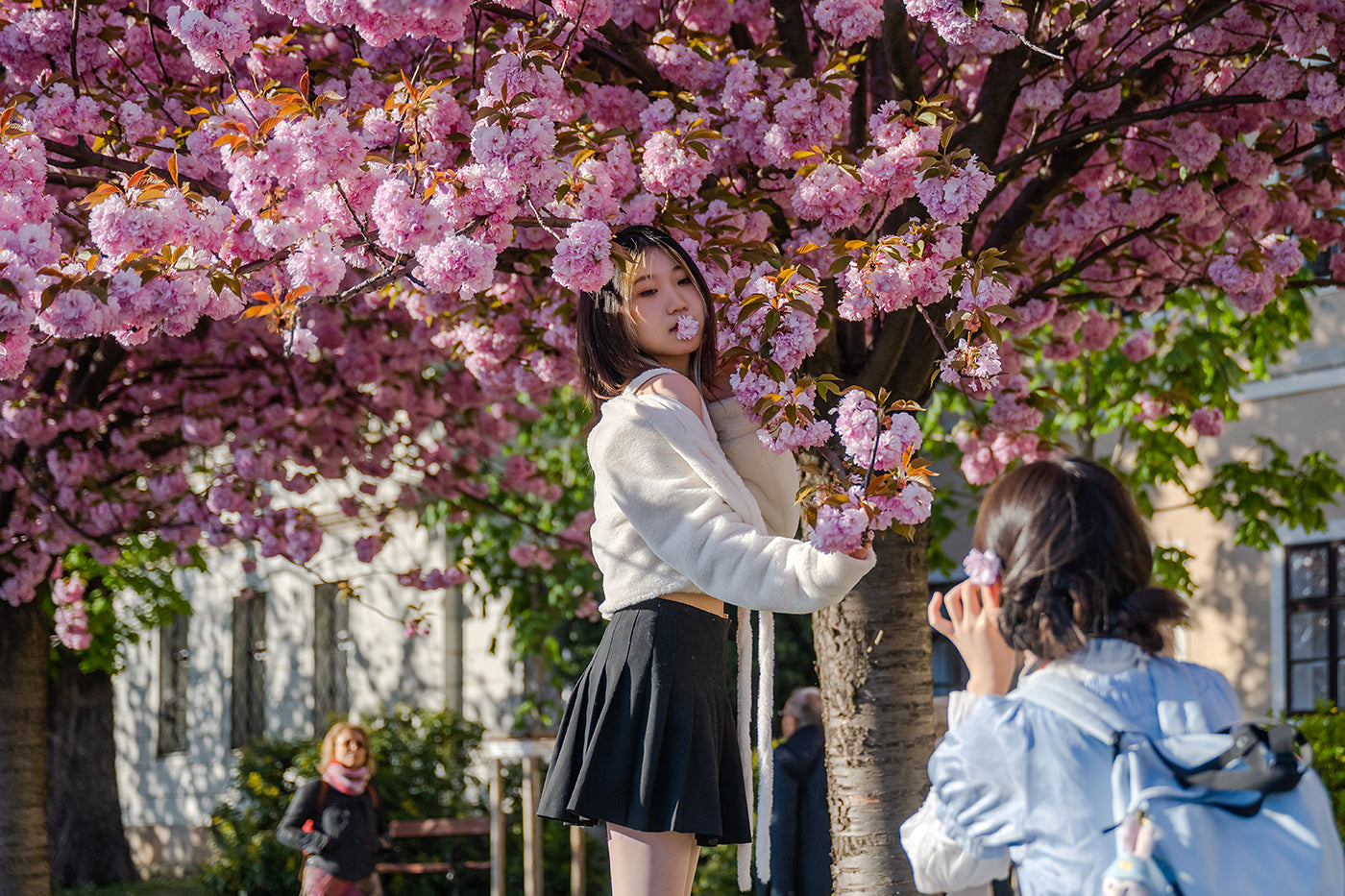 Turisták fotózkodnak a Tóth Árpád sétányon #4296
