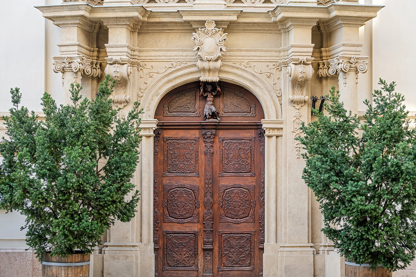 University Church Gate #4396