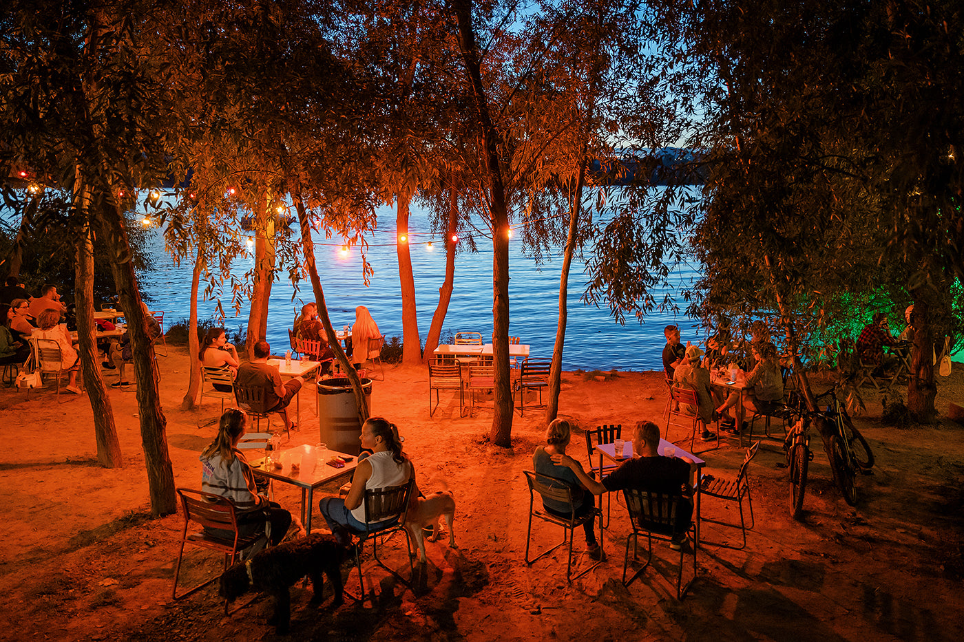 Cabin evening #4453