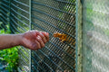 Zoo life picture #4575