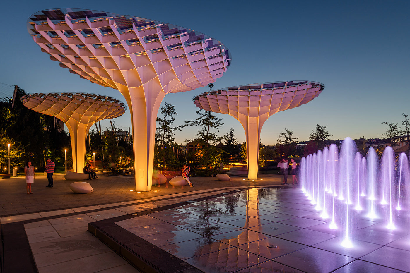 Millenary Park at night #4610