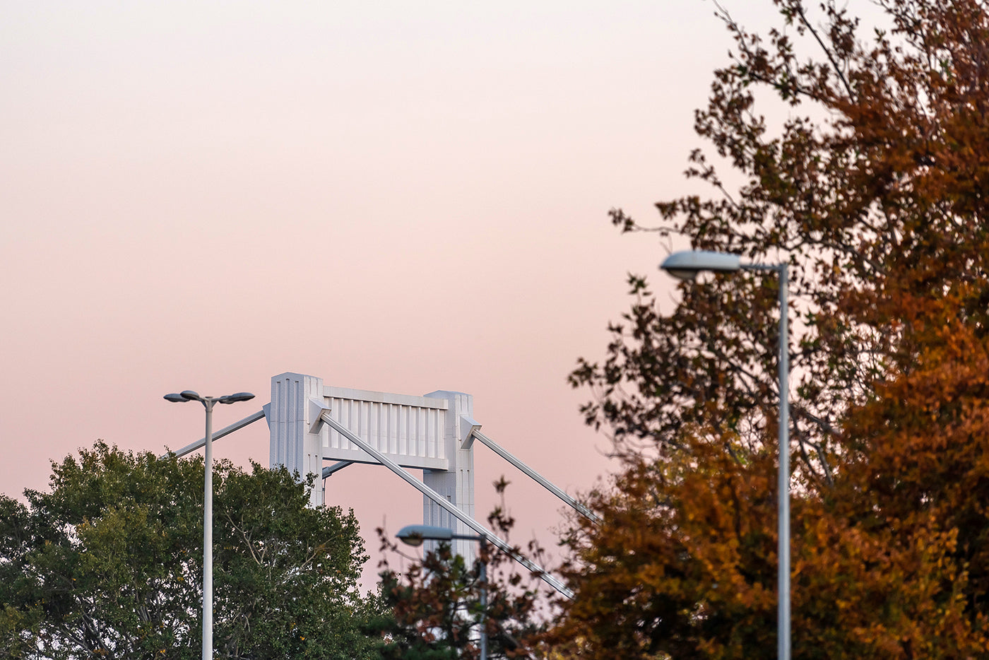 Elizabeth Bridge in autumn #4648