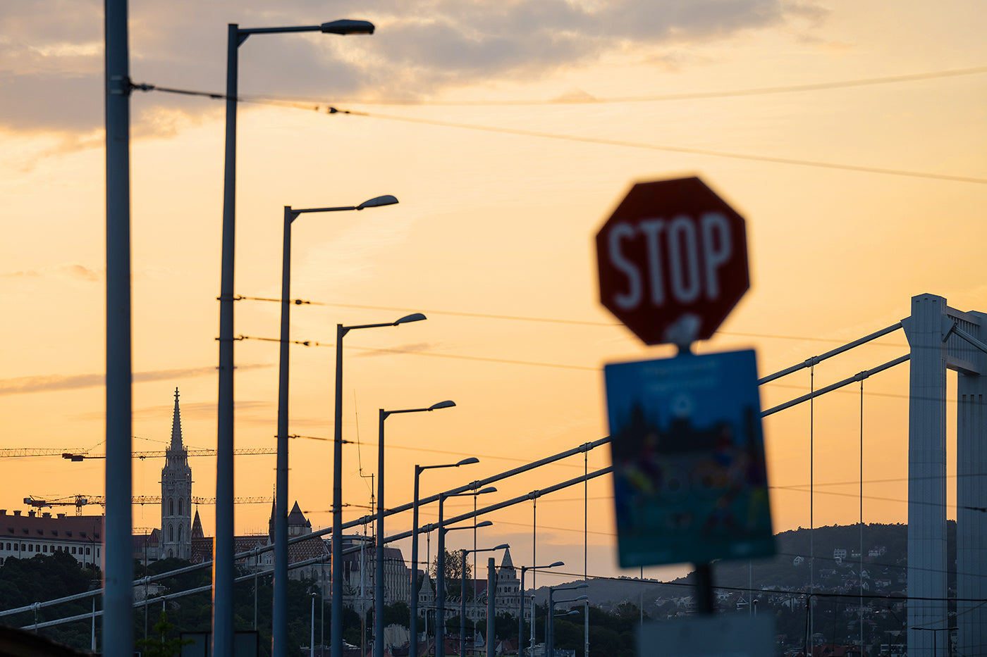 Sunset on the Danube Bank #4677