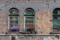 Szondi Street Bullet Marks #4691