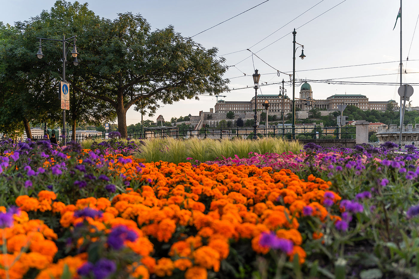 A Budai Vár az Eötvös térről #4704
